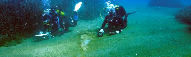 Two scientific divers on the seabed near the Stromboli volcano measuring sediment temperatures