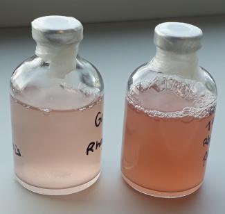 Das Foto zeigt zwei Laborflaschen mit Flüssigkeit