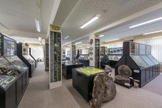 Blick in die Ausstellungsräume der Paläontologisch-Stratigrafischen Sammlung