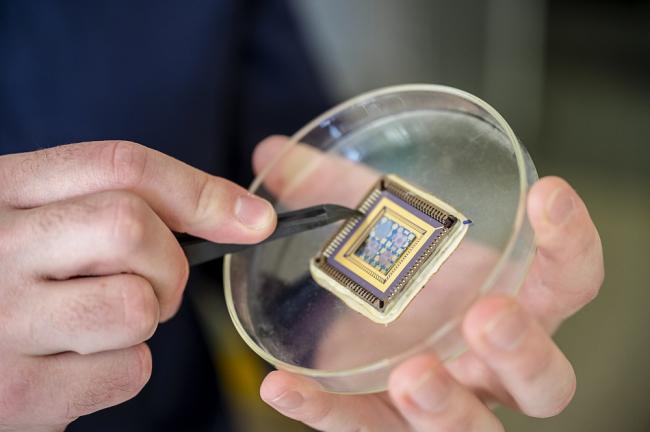 Das Bild zeigt eine Petrischale mit einem Mikrochip, den jemand mit einer Zange bearbeitet.