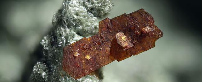 Das Bild zeigt das Mineral Pyrostilpnit. Gefunden wurde es in der Grube Churprinz Friedrich August Erbstolln, Großschirma.