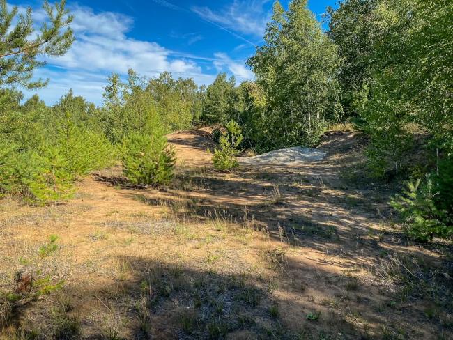 Offene, vegetationsarme Sandfläche auf der Spülhalde Davidschacht