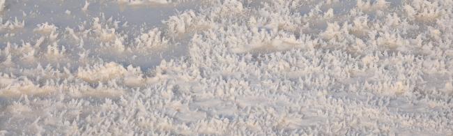 Salt crystals on the shore of the Dead Sea