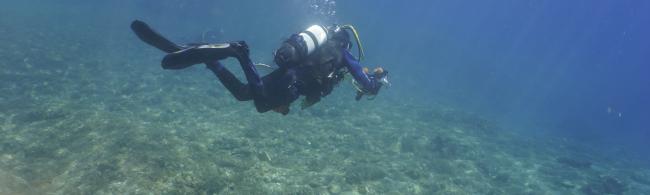 a scientific diver at the beginning of the dive