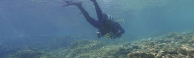 Scientific diver shortly before reaching the surface at the end of the dive