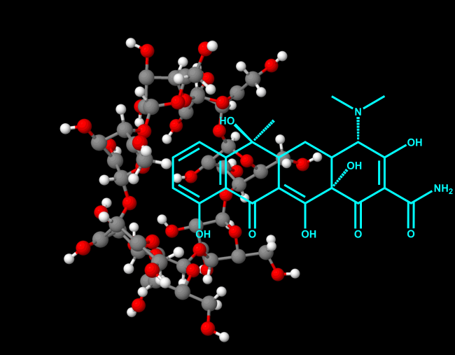 Einschlusskomplex des β-Cyclodextrins (Kugel-Stab-Modell) mit dem Breitbandantibiotikums Tetracyclin (türkise Strukturformel)
