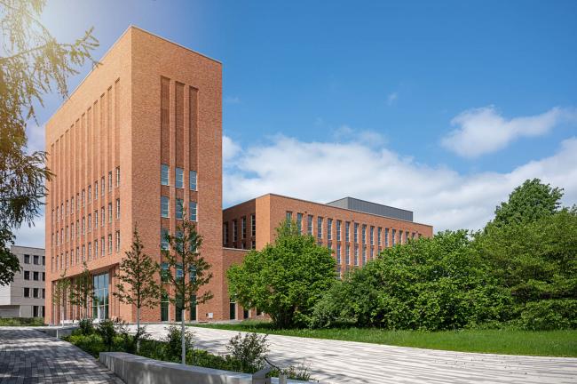 Universitätsbibliothek Freiberg Bäume