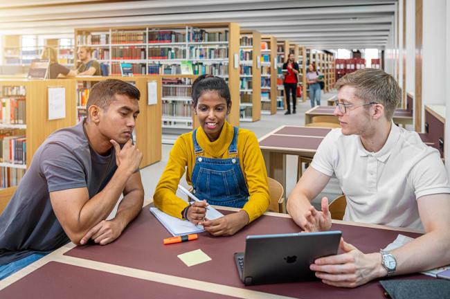Studierende lernen in der Universitätsbibliothek.