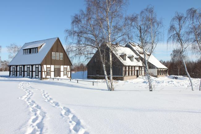 Alte Elisabeth im Winter