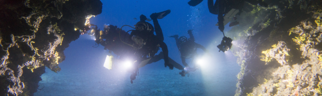 mehrere Taucher am Tauchspot "Felsentor"