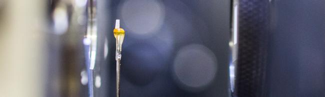 Probe im Röntgentomograf.