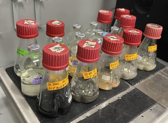 Das Foto zeigt mehrere Kolben mit Kulturen.