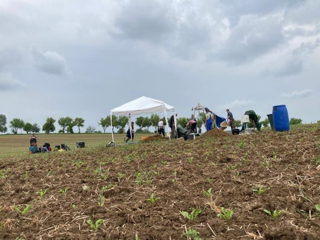 Auf dem Bild sind Studierende bei der Probenahme im Feld zu sehen