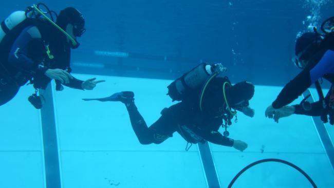 Diving at Johannesbad in the summer semester