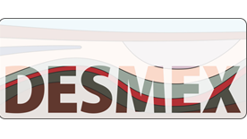 DESMEX Logo