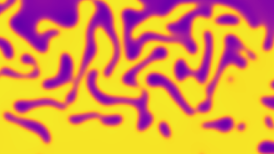 Simulation eines gekoppelten Cahn-Hilliard-Navier-Stokes Systems