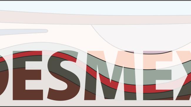DESMEX Logo