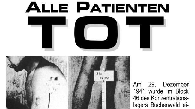 Plakat 17: Alle Patienten tot