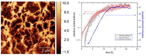 IPC Plamper Strukturierte Grenzflächen