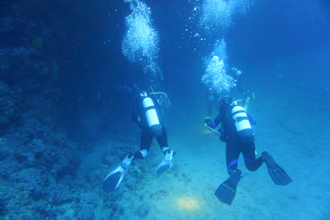 Wissenschaftliches Tauchen