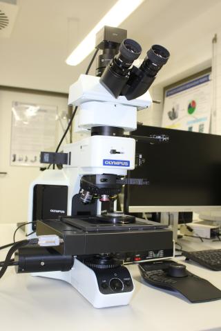 Auf- und Durchlichtmikroskop von Olympus mit motorisiertem Tisch