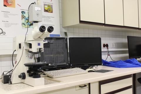 Auflichtmikroskop von Zeiss