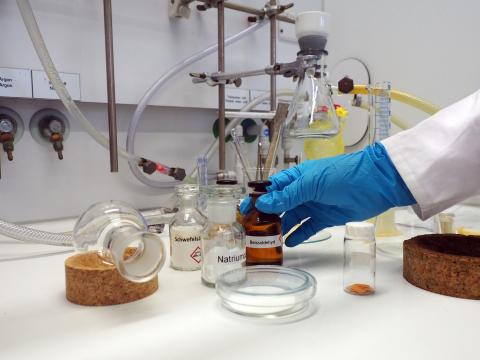 Blick in das Digestorium