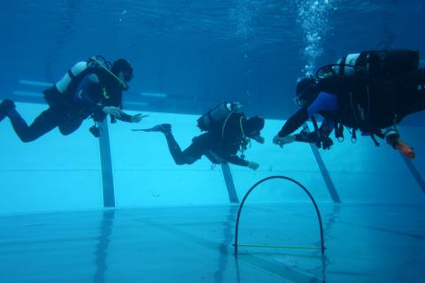 Tauchen im Johannisbad im Sommersemester