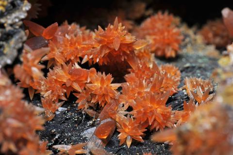 Das Bild zeigt eine Stufe mit den Mineralen Rhodochrosit, Kupfer, Goethit und Hämatit