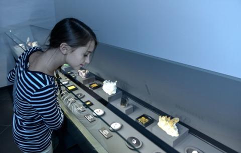 Eine Vitrine mit Mineralen, auf die ein Mädchen herunterblickt