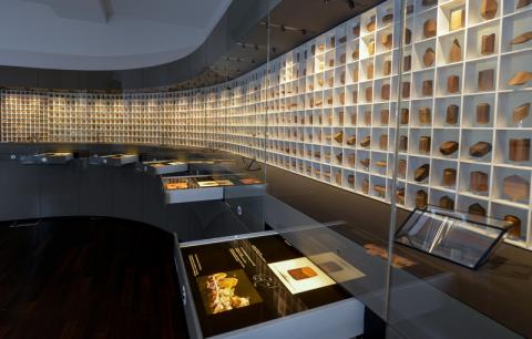 Eine lange, geschwungene Vitrine mit Mineralen, die beleuchtet werden.