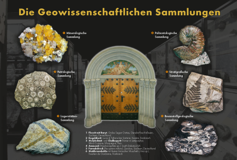 Werbeflyer Geowissenschaftliche Sammlungen Seite 2
