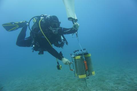 Transport carrier for the transportation of sediment and soil samples