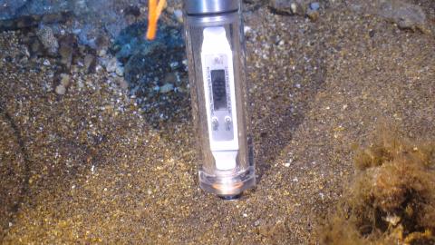 Self-developed housing for simple and fast temperature measurement in the sediment