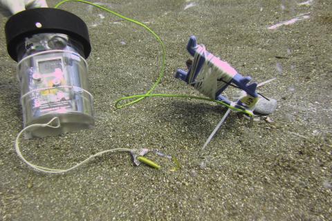 Self-developed housing for complex and accurate temperature measurement in the sediment