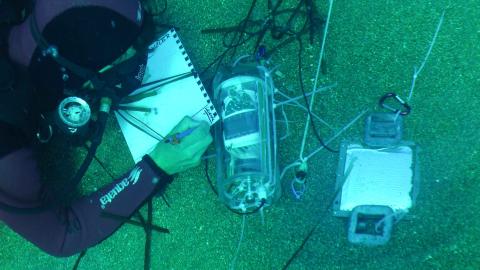 Measuring devices for determining the heat flux density on the basis of a thermosyphon