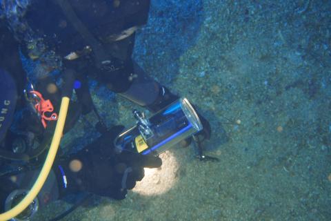 Measuring devices for measuring pH and redox potential in sediment or soil