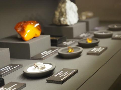 Blick in eine Vitrine