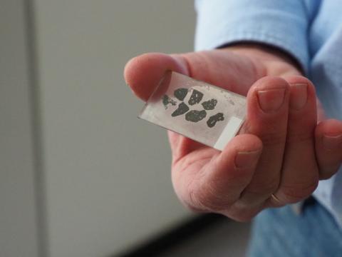 So sehen die Proben aus