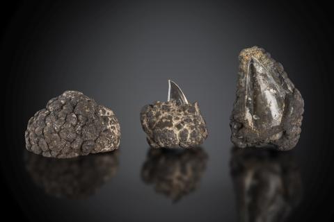 Muskovit, Quarz, gefunden in Montgary, Manitoba, Kanada