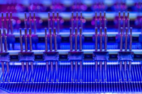 Kontaktierte Solarzelle bei blauer Beleuchtung