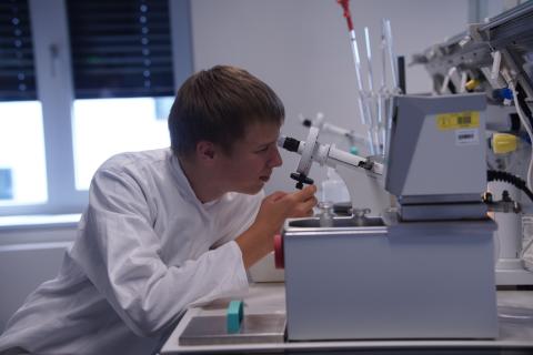 Schüler im Praktikum