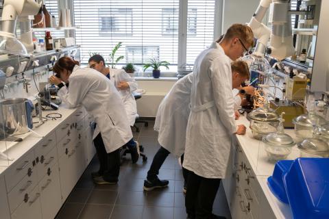 Schüler im Praktikum