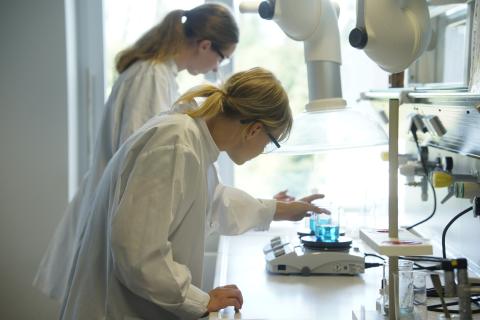 Schülerinnen beim Experimentieren