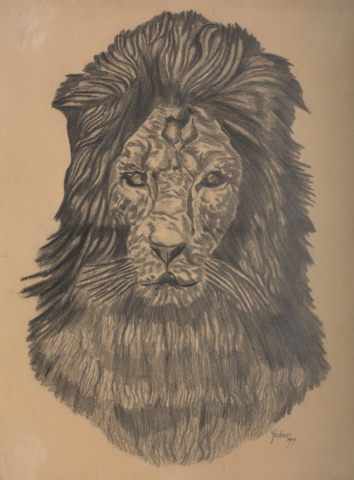 Bleistiftzeichnung Löwe