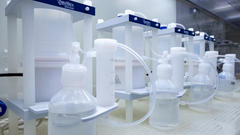 240416-Lo-5229 Kopie