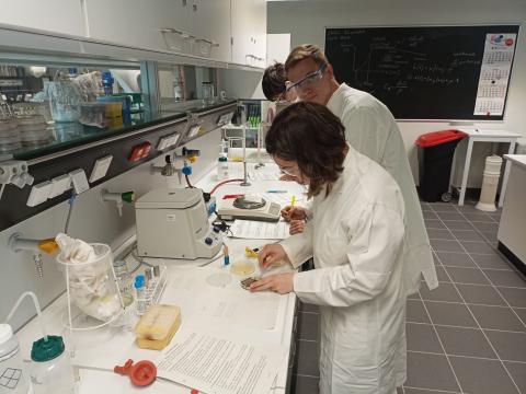 Schülerin und Schüler beim Arbeiten an der Zentrifuge.