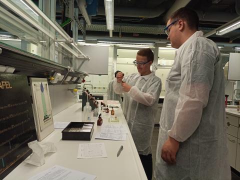 Experimentieren in der anorganischen Chemie