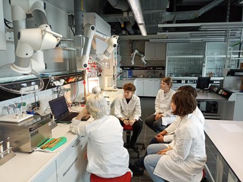 Experimentieren in der physikalischen Chemie