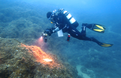 Taucher während der Photogrammetrie